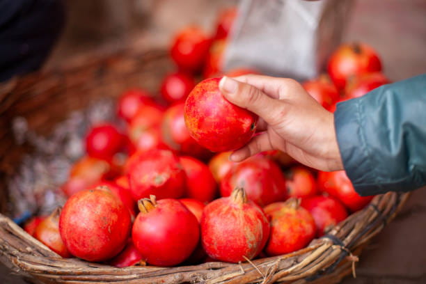 انار سیاه کاشان عملکرد عالی چیدن امروزی